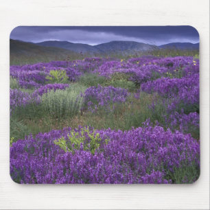 Europa, Türkei, Kappadokien. Ländliche Landschaft Mousepad