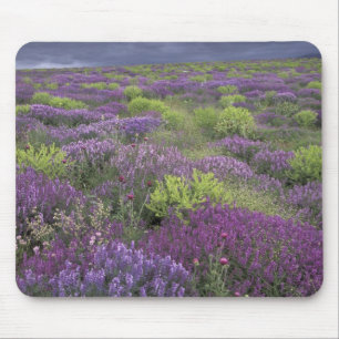 Europa, Türkei, Kappadokien. Ländliche Landschaft  Mousepad