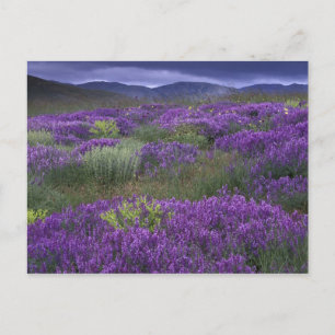 Europa, Türkei, Kappadokien. Ländliche Landschaft  Postkarte