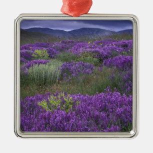 Europa, Türkei, Kappadokien. Ländliche Landschaft Silbernes Ornament
