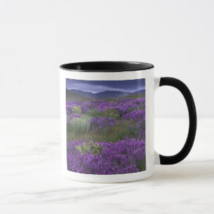 Europa, Türkei, Kappadokien. Landschaft 2 Tasse
