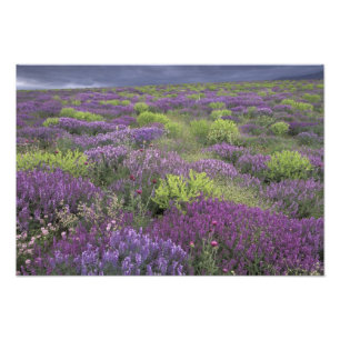 Europa, Türkei, Kappadokien. Landschaft 3 Fotodruck