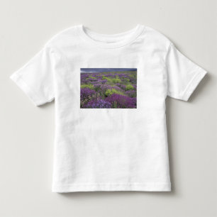 Europa, Türkei, Kappadokien. Landschaft 3 Kleinkind T-shirt