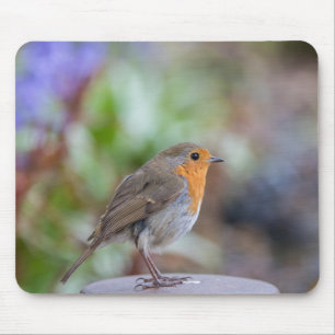 Europäer-Robin-Mäusematte Mousepad
