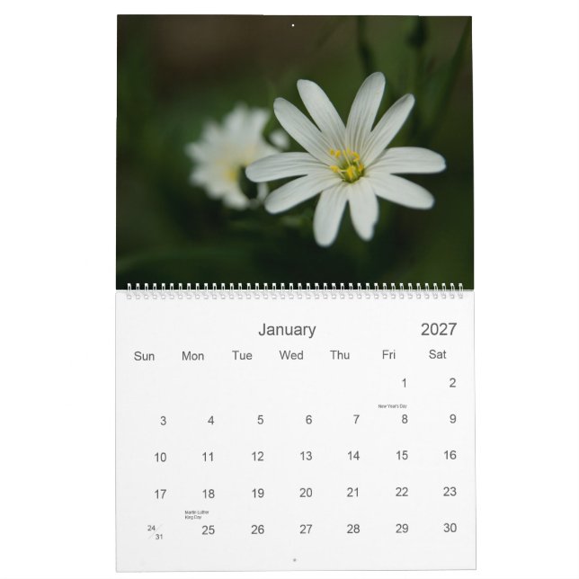Europäer Wildfowers 2009 Kalender (Jan 2027)