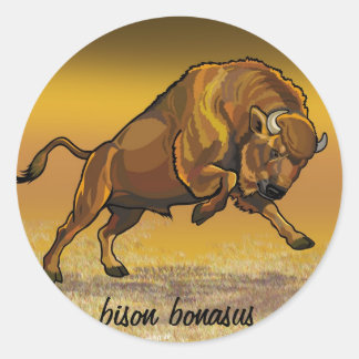 Europäische Bison Runder Aufkleber