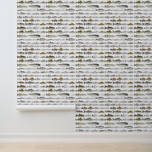 Europäische Gruppe für Süßwasserfische Tapete (Anwendung)