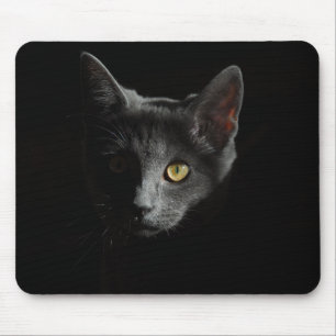 Europäische Kurzhaar Schwarze Katze Katapportr Mousepad