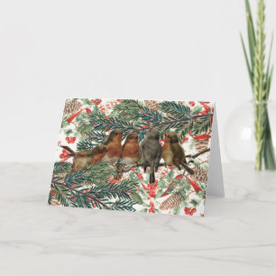 Europäische Robin Birds Weihnachtsfeiertag Rote Ri Feiertagskarte