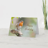 Europäische Robin Erithacus rubecula