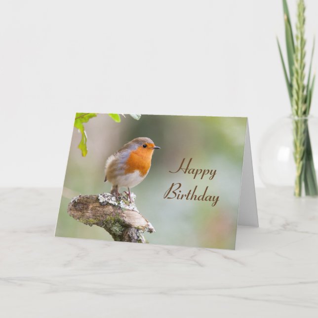 Europäische Robin Erithacus rubecula Karte (Vorderseite)