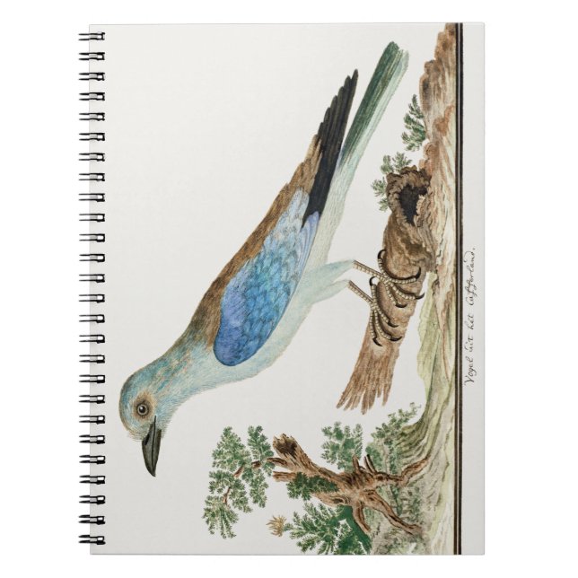 europäische Rolle Notizblock (Vorderseite)