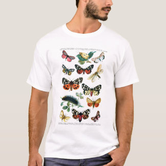 Europäische Schmetterlinge T-Shirt