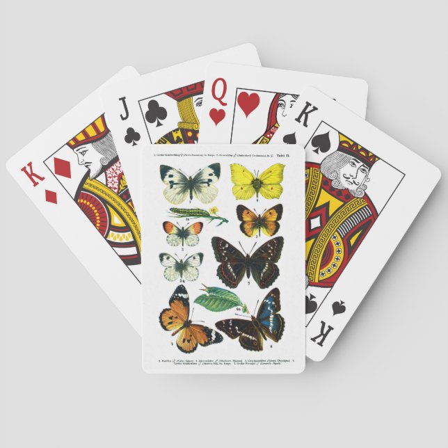 Europäische Schmetterlingsplatte II Spielkarten (Rückseite)