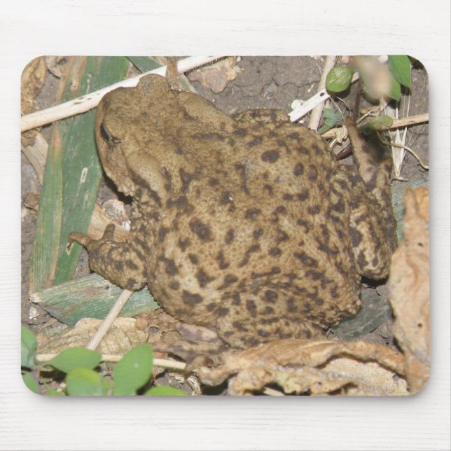 Europäische Toad Mousepad (Vorne)