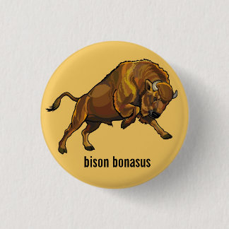 europäischer Bison Button