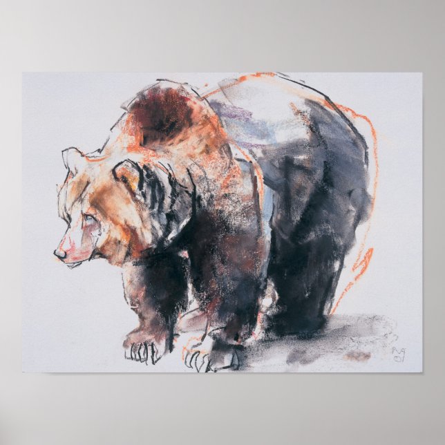 Europäischer Braunbär 2001 Poster (Vorne)