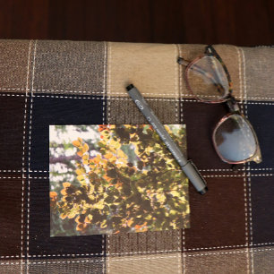 Europäischer Buchenbaum Postkarte