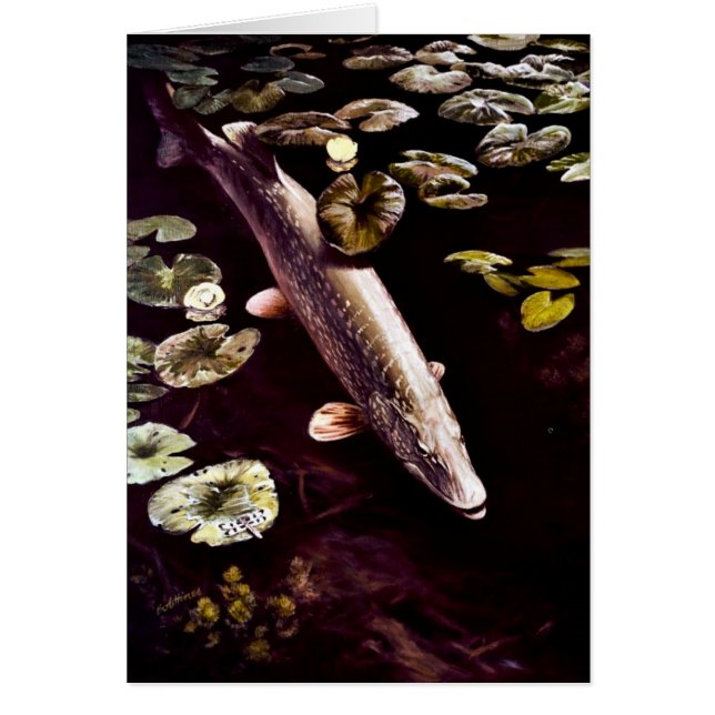 Europäischer Hecht (Vorne)