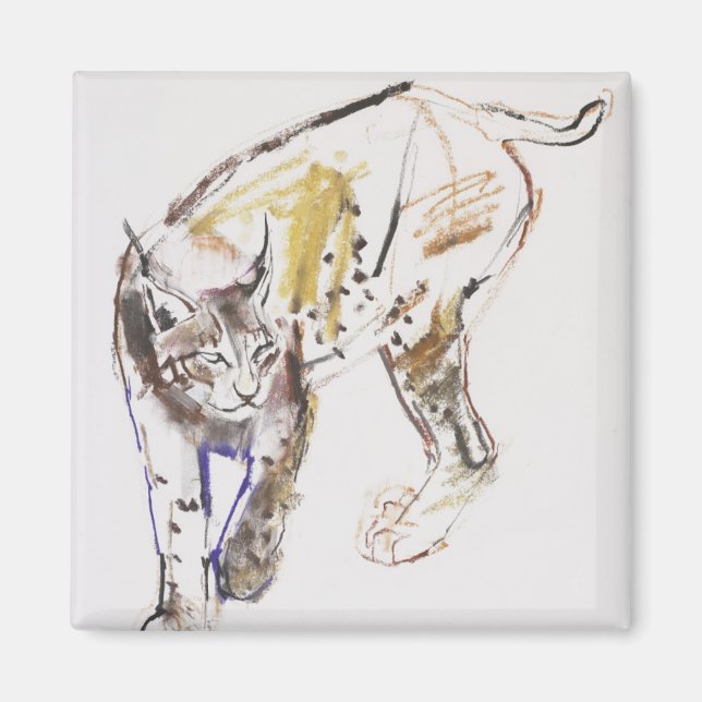 Europäischer Lynx Magnet (Vorne)