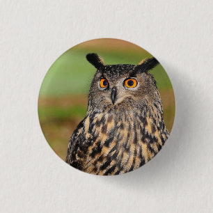 Europäischer Vogelvogel Button
