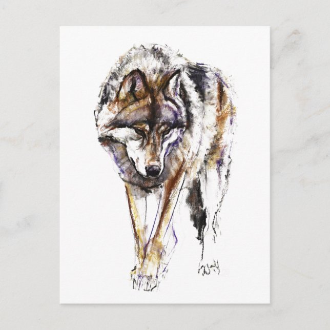 Europäischer Wolf Postkarte (Vorderseite)