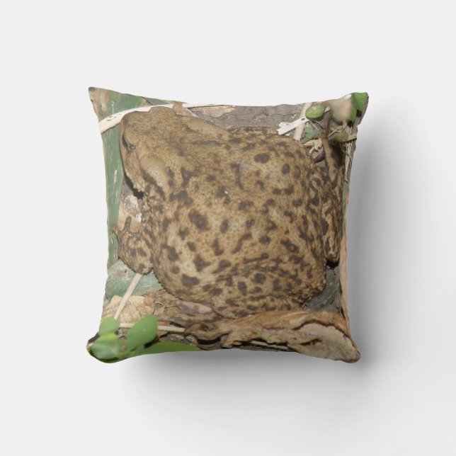 Europäisches Gemeinschafts-Kissen Kissen (Vorderseite)