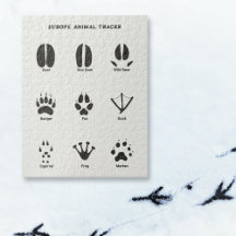 Europe Animal Tracks Puzzle