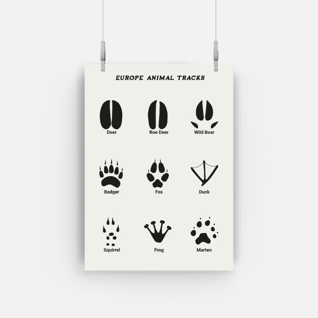Europe Animal Tracks Set Poster (Von Creator hochgeladen)