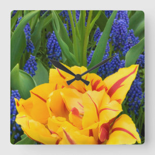 Europe, Netherlands, Lisse. Tulips Quadratische Wanduhr
