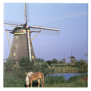 Europe, Niederlande, Zuid Holland, Kinderdijk.2 Fliese