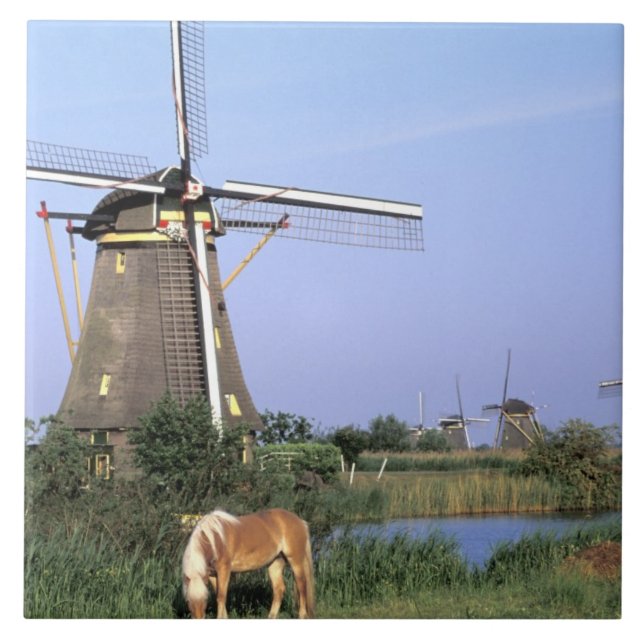 Europe, Niederlande, Zuid Holland, Kinderdijk.2 Fliese (Vorderseite)