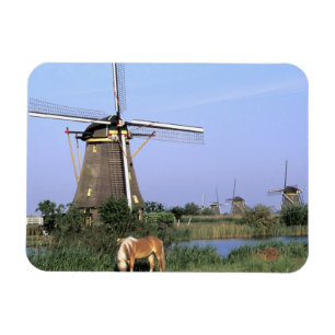 Europe, Niederlande, Zuid Holland, Kinderdijk.2 Magnet
