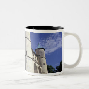 EUROPE, Polen, Karpaten Mts., Nowy Wisnicz Zweifarbige Tasse