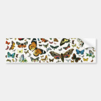 Europe’s Best-Known Butterflies and Moths Collage
