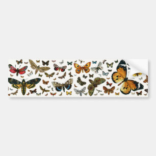 Europe’s Best-Known Butterflies and Moths Collage Autoaufkleber