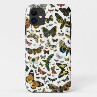 Europe’s Best-Known Butterflies and Moths Collage