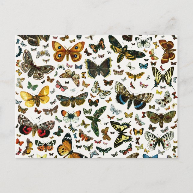 Europe’s Best-Known Butterflies and Moths Collage Postkarte (Vorderseite)