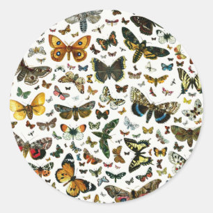 Europe’s Best-Known Butterflies and Moths Collage Runder Aufkleber
