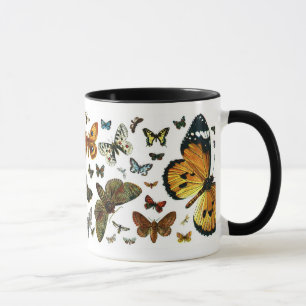 Europe’s Best-Known Butterflies and Moths Collage Tasse