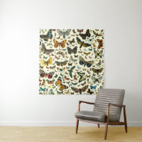 Europe’s Best-Known Butterflies and Moths Collage