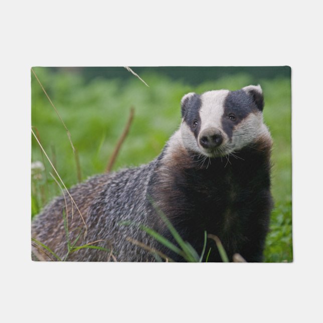 European Badger Door Mat Fußmatte (Vorderseite)
