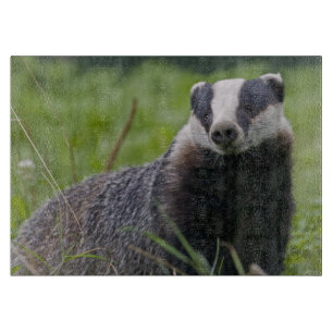 European Badger Rechteck Cutting Board Schneidebrett