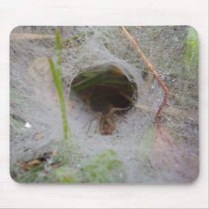 European Funnel Web Spider Mouse Mat Mousepad