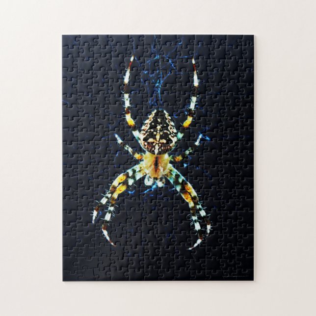 European Garden Spider 11x14 252pc jpcn Puzzle (Vertikal)