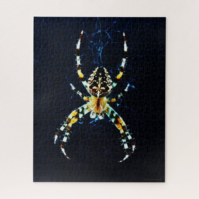 European Garden Spider 16x20 520pc jpm Puzzle (Vertikal)