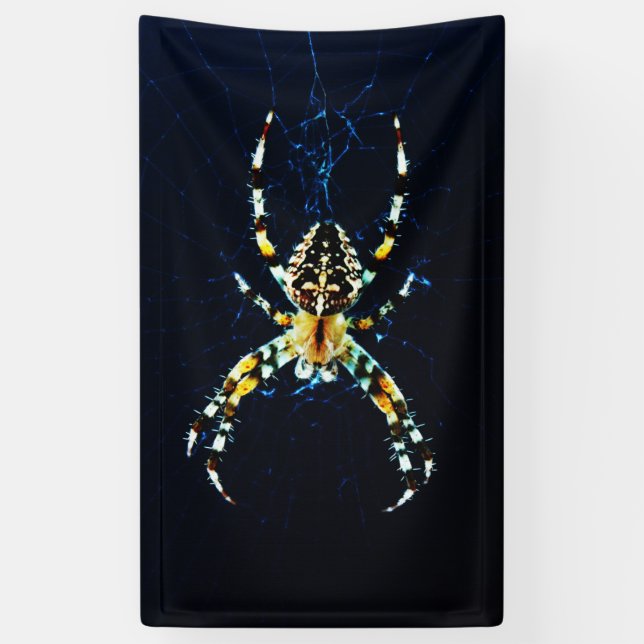 European Garden Spider bnra Banner (Vertikal)
