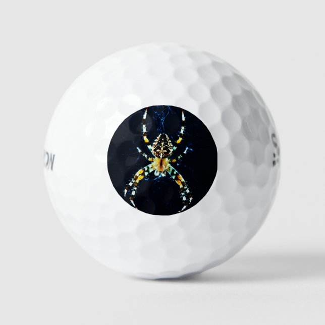 European Garden Spider ssf Golfball (Vorderseite)