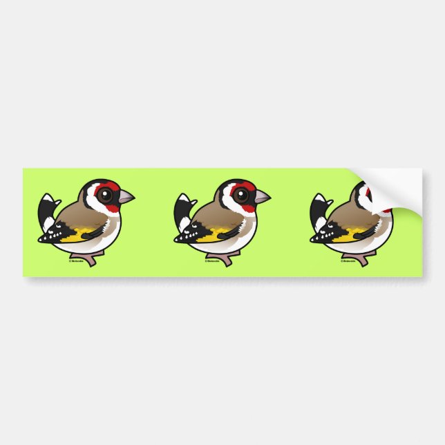 European Goldfinch Autoaufkleber (Vorne)