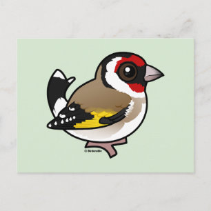 European Goldfinch Postkarte